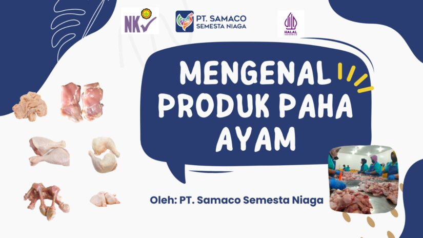 Mengenal Produk Paha Ayam – Samaco