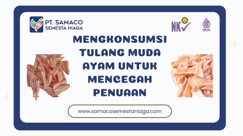 Mengkonsumsi Tulang Muda ayam Untuk Mencegah Penuaan