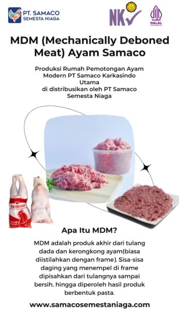 MDM (Mechanically Deboned Meat) Ayam Samaco Terbukti HALAL, HIGIENIS, BERGIZI TINGGI