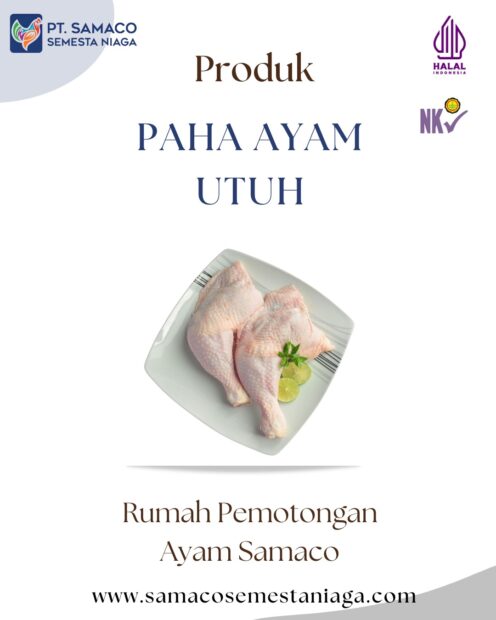 PAHA AYAM UTUH FRESH DAN FROZEN DARI RUMAH PEMOTONGAN AYAM MODERN SAMACO
