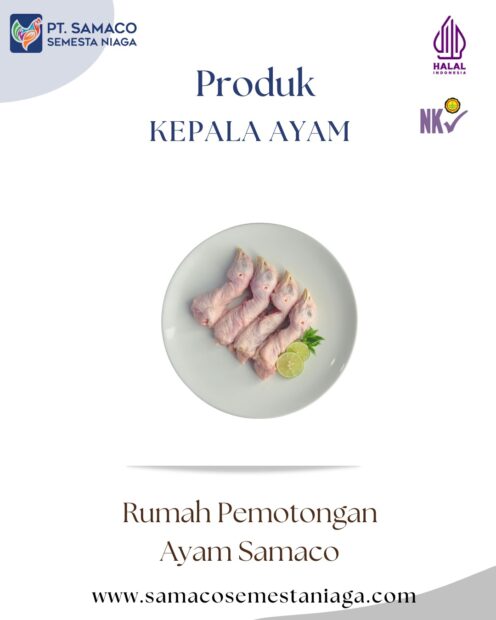 Kepala Ayam Produk Dari Rumah Pemotongan Ayam Modern Samaco Juwana Pati Jateng