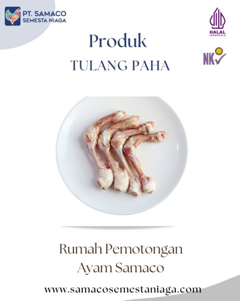 TULANG PAHA PRODUK DARI RUMAH PEMOTONGAN AYAM SAMACO