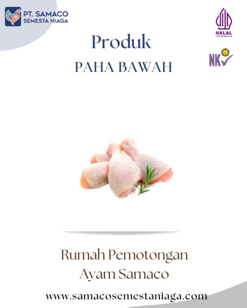 PAHA BAWAH – PRODUK AYAM PREMIUM RUMAH PEMOTONGAN AYAM MODERN SAMACO