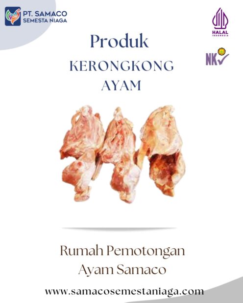 KERONGKONG AYAM PRODUK DARI RPA SAMACO JUWANA PATI JAWA TENGAH