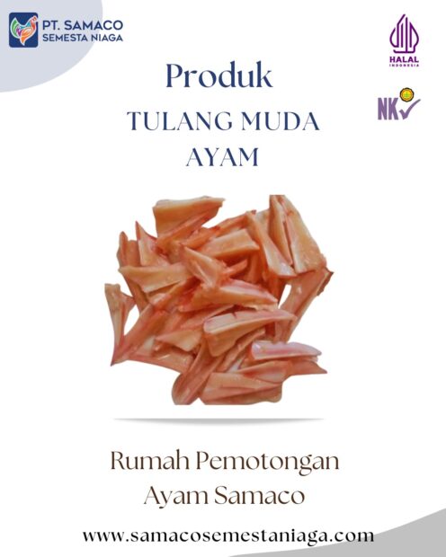 TULANG MUDA PRODUK DARI RUMAH PEMOTONGAN AYAM SAMACO