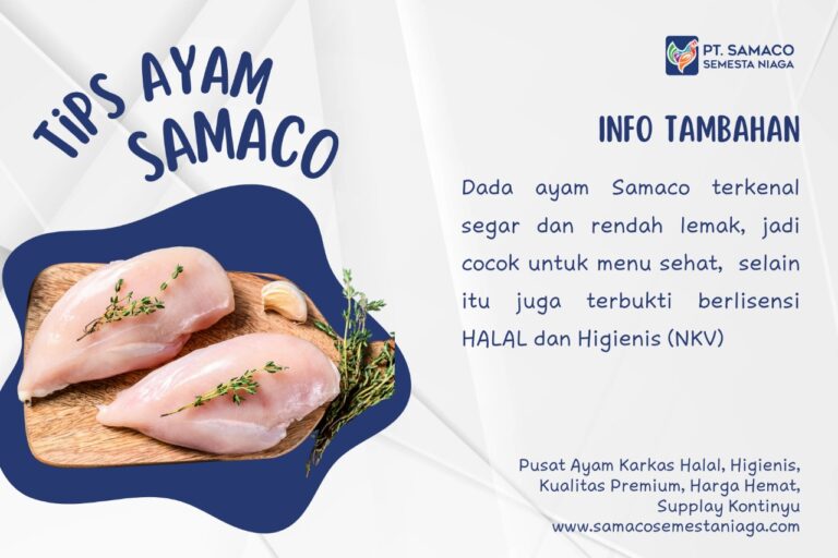 TIPS AYAM SAMACO - KREASI MASAKAN STEAK DENGAN BONELESS DADA