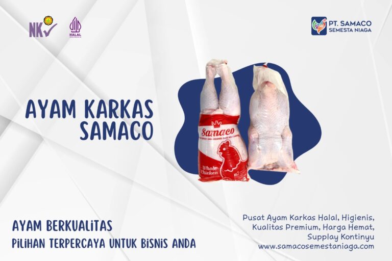 AYAM SAMACO - JAMINAN AYAM BERKUALITAS PILIHAN TERPERCAYA UNTUK BISNIS ANDA