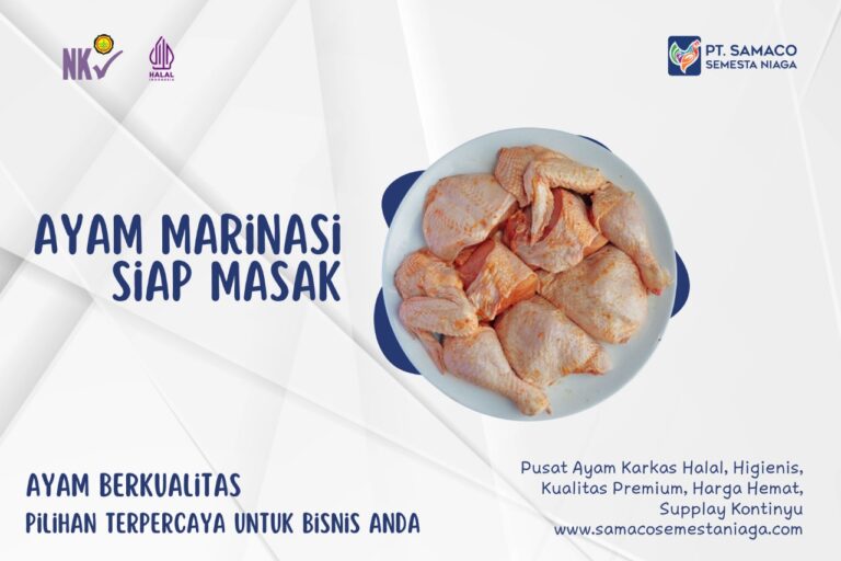 AYAM SAMACO - JAMINAN AYAM BERKUALITAS PILIHAN TERPERCAYA UNTUK BISNIS ANDA