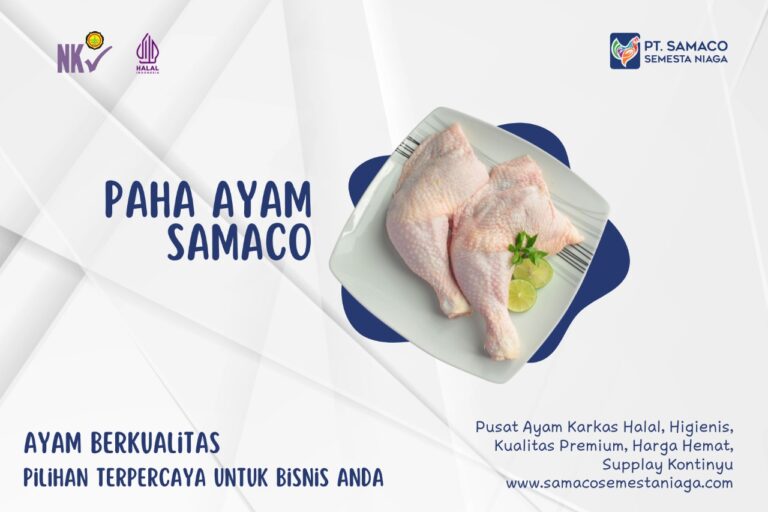 AYAM SAMACO - JAMINAN AYAM BERKUALITAS PILIHAN TERPERCAYA UNTUK BISNIS ANDA