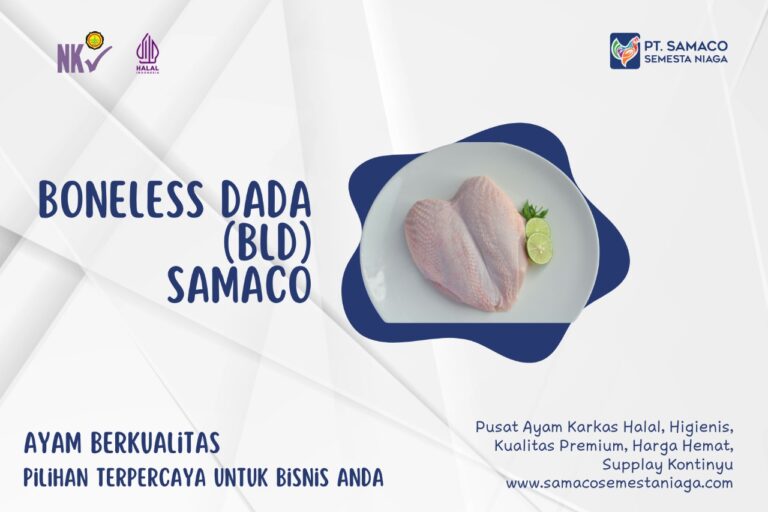 AYAM SAMACO - JAMINAN AYAM BERKUALITAS PILIHAN TERPERCAYA UNTUK BISNIS ANDA