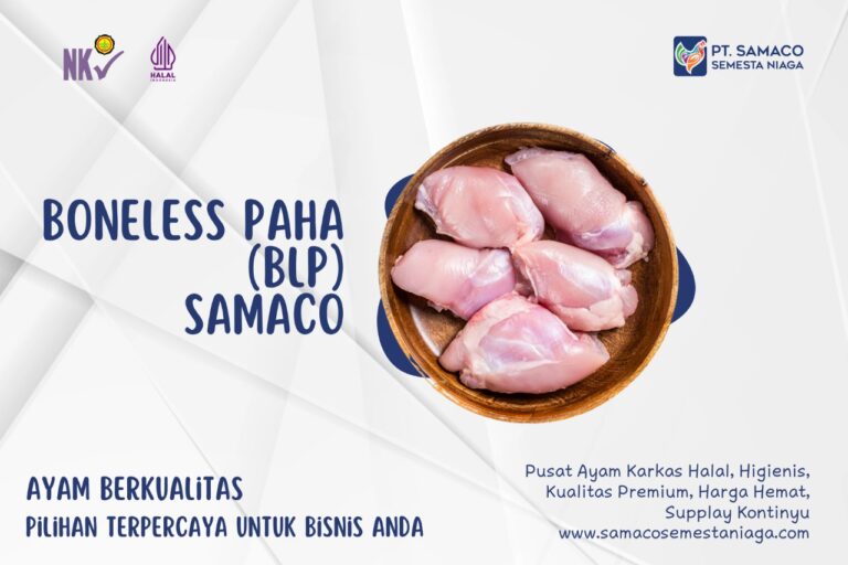 AYAM SAMACO - JAMINAN AYAM BERKUALITAS PILIHAN TERPERCAYA UNTUK BISNIS ANDA