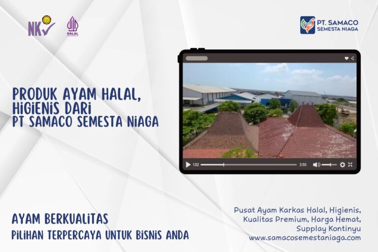 PRODUK MDM AYAM FROZEN HALAL, HIGIENIS DARI PT SAMACO SEMESTA NIAGA JUWANA PATI JAWA TENGAH
