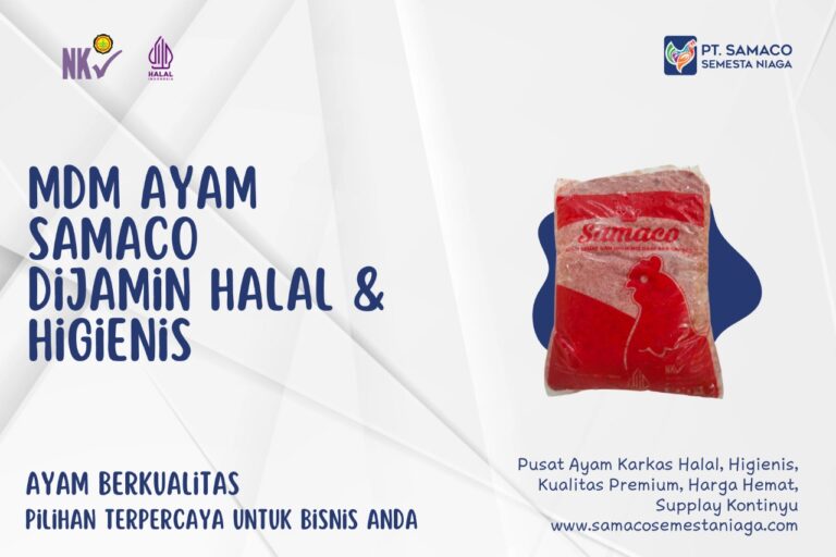 PRODUK MDM AYAM FROZEN HALAL, HIGIENIS DARI PT SAMACO SEMESTA NIAGA JUWANA PATI JAWA TENGAH