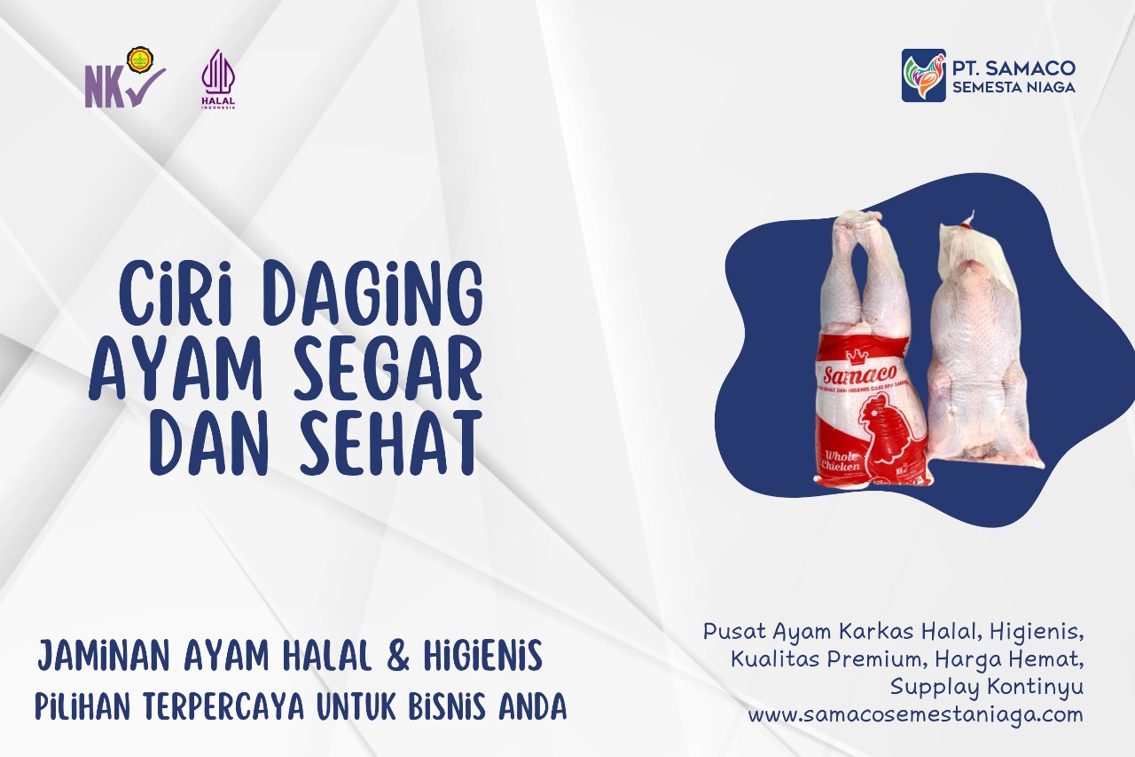 TIPS AYAM KARKAS SAMACO - CIRI DAGING AYAM YANG SEGAR DAN SEHAT