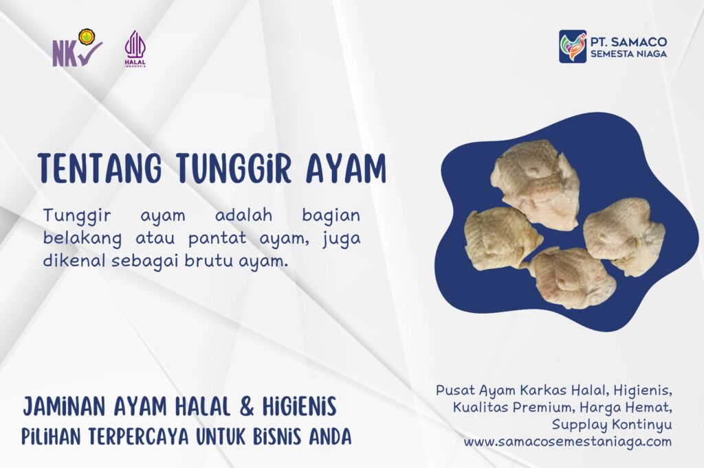INFO TUNGGIR AYAM - BAGIAN DARI AYAM YANG GURIH DAN KAYA PROTEIN