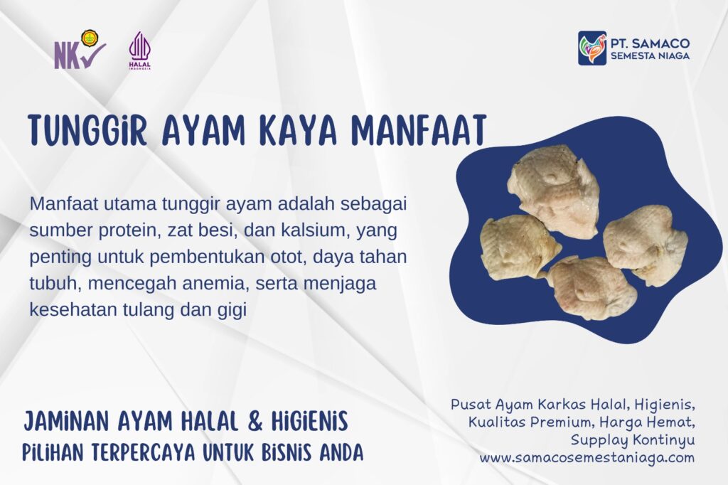 INFO TUNGGIR AYAM - BAGIAN DARI AYAM YANG GURIH DAN KAYA PROTEIN