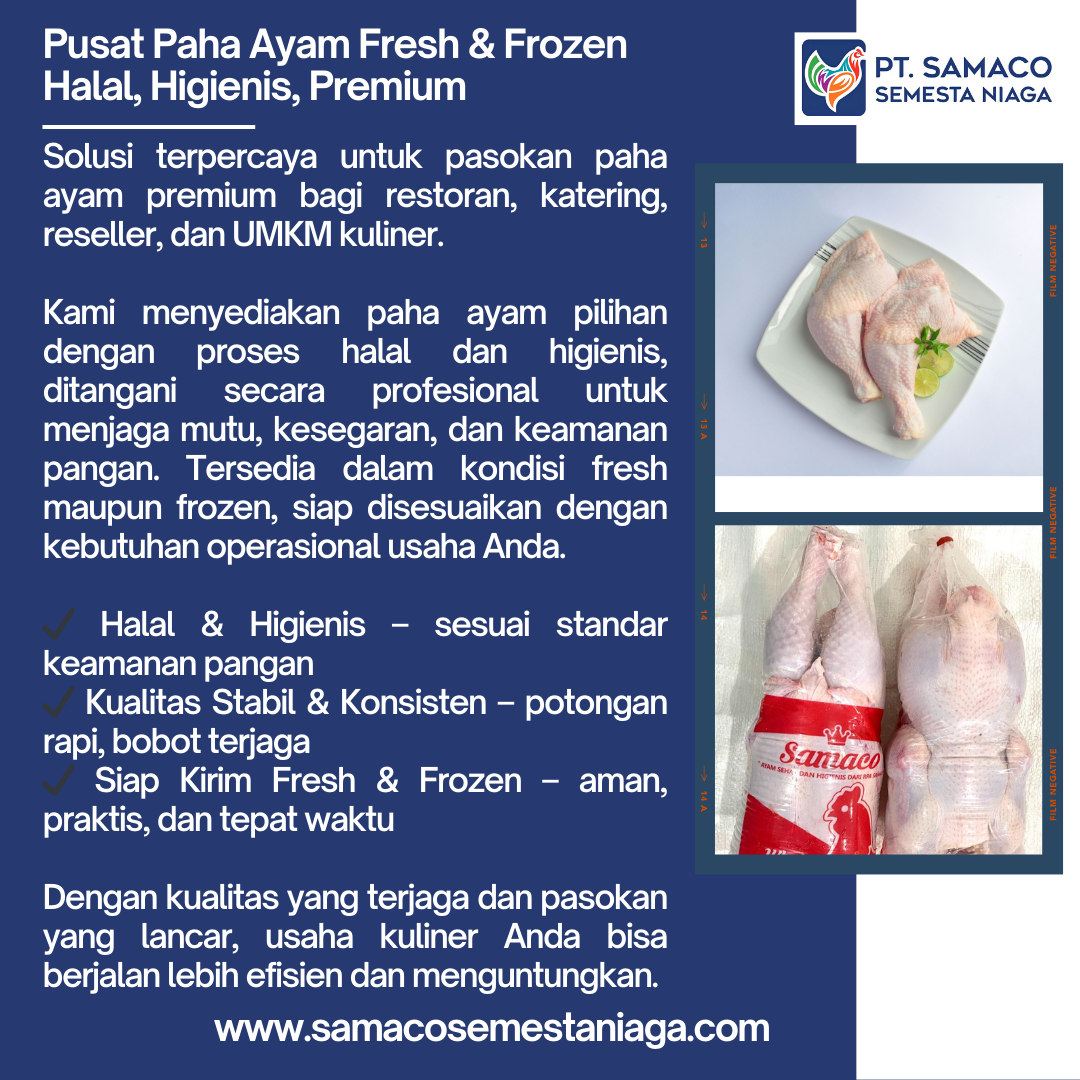 Pusat Paha Ayam Fresh & Frozen Halal, Higienis, dan Premium untuk Kebutuhan Usaha Kuliner
